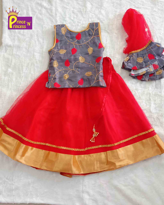 Grey and Red Sequence Embroidery tops Lehenga Choli LC063