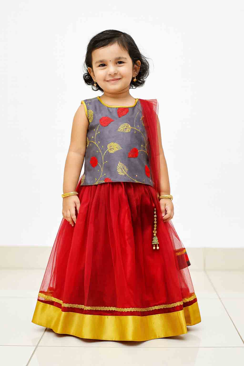 Grey and Red Sequence Embroidery tops Lehenga Choli LC063 - Prince N Princess