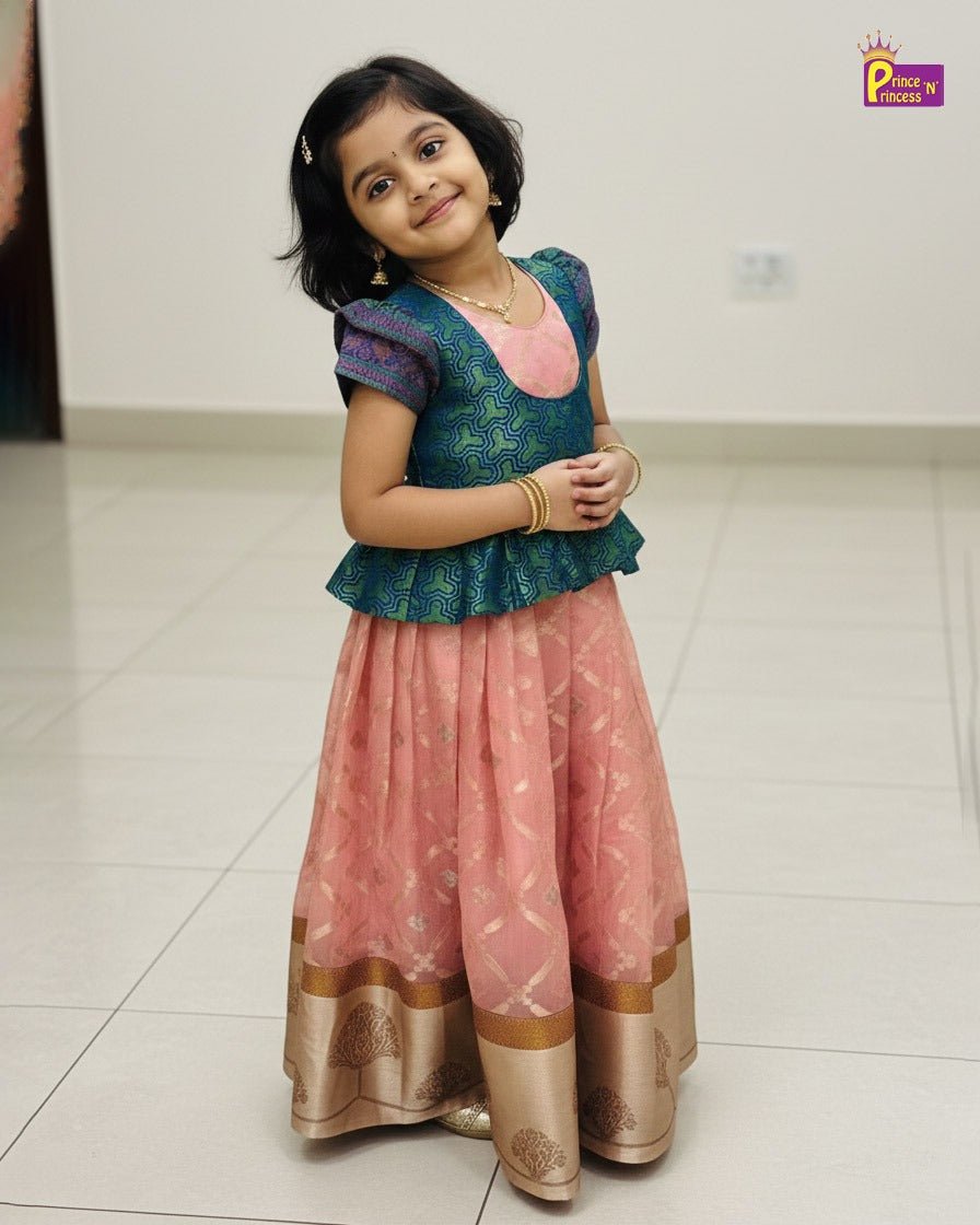 Traditional Blue Pink Banarasi Long Gown PG459 - Prince N Princess